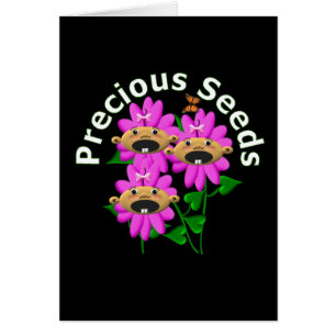 SeedsWG-Carte précieuse
