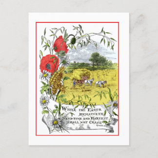 Seedtime and Harvest Postcard