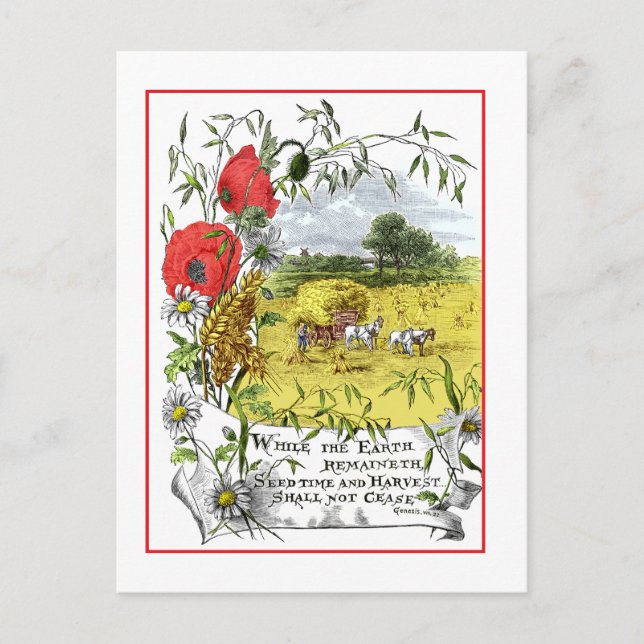 Seedtime and Harvest Postcard (Front)