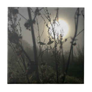 Seeing big in small photo print tile