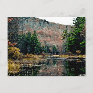 Seek and Find Postcard