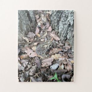 Seek + Discover Oversized Puzzle 30 piece 11"x14"