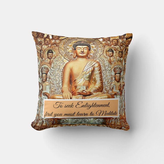 Seeking enlightenment throw pillow (Front)