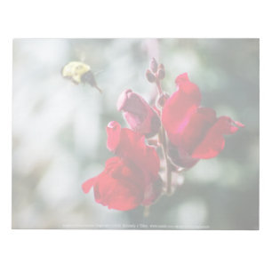 Seeking Sweet Nectar Notepad