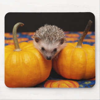 Seeking the Great Pumpkin Mouse Pad