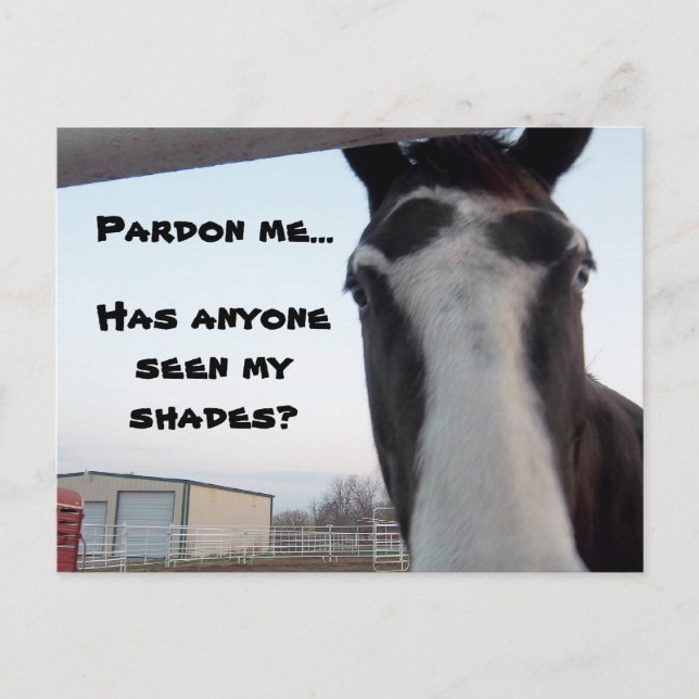 Seen My Shades? Postcard (Front)