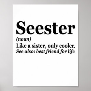 Seester Noun Definition Best Sister Funny Gift Poster