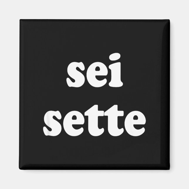 Sei Sette Italian Funny  Magnet (Front)