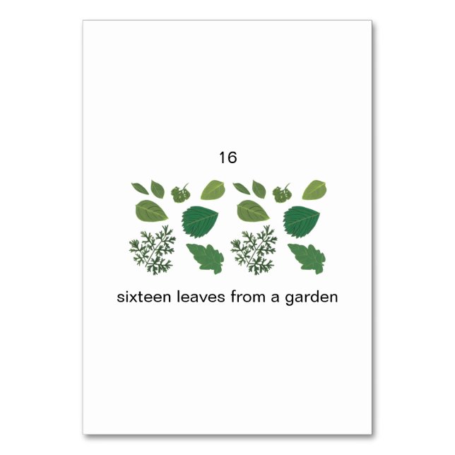 Seize feuilles de jardin personnalisé cartes à mém (Dos)