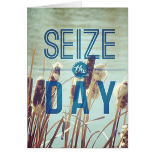 Seize the Day Cattails, Pond Plants
