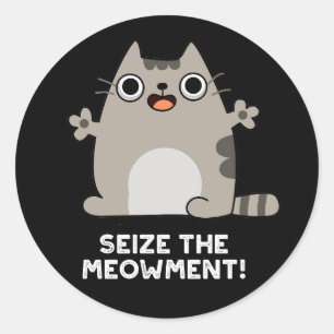 Seize The Meow-ment Positive Cat Pun Dark BG Classic Round Sticker