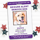 Seizure Alert Personalized Service Dog ID Photo