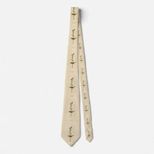 Selby's Fly catcher - Audubon's Birds of America Tie
