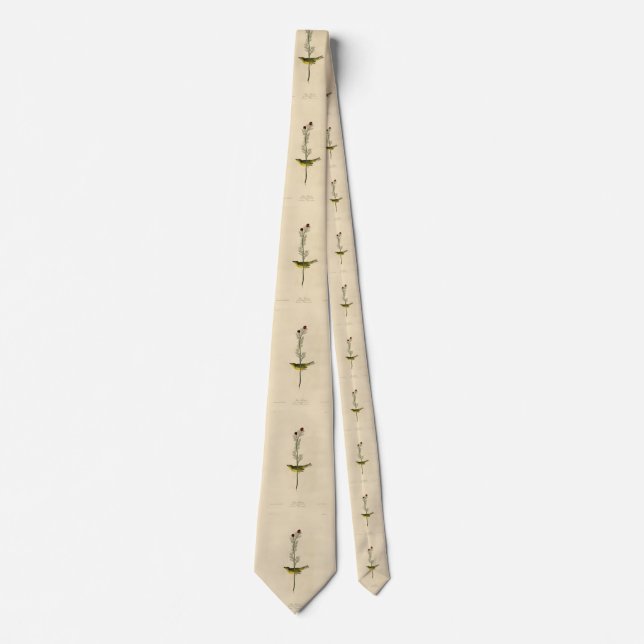 Selby's Fly catcher - Audubon's Birds of America Tie (Front)