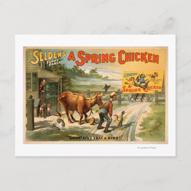 Selden's Funny Farce, A Spring Chicken Play Postcard (Front)