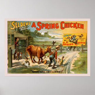 Selden's Funny Farce, Poster de poulet de printemp