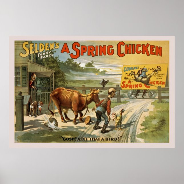 Selden's Funny Farce, Poster de poulet de printemp (Devant)