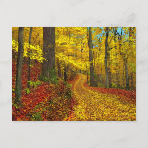 Seldom used road , postcard