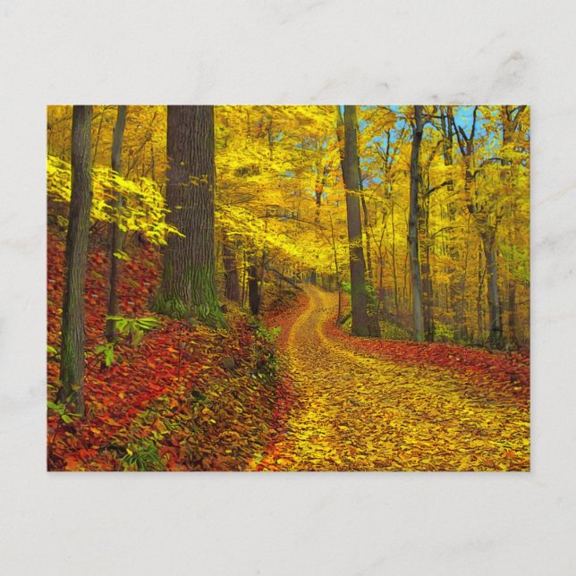 Seldom used road , postcard (Front)