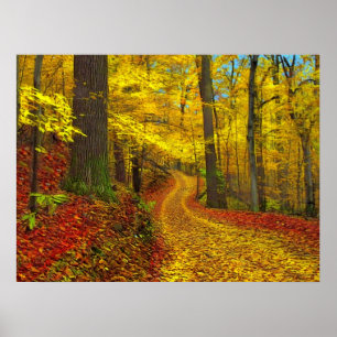Seldom used road , print