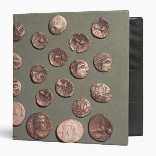 Selection Celtic and Roman  coins found Binder
