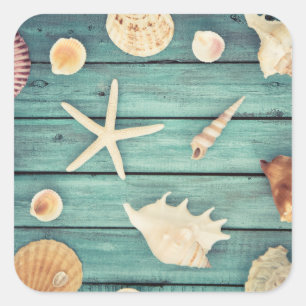 Selection Of Seashells Square Sticker