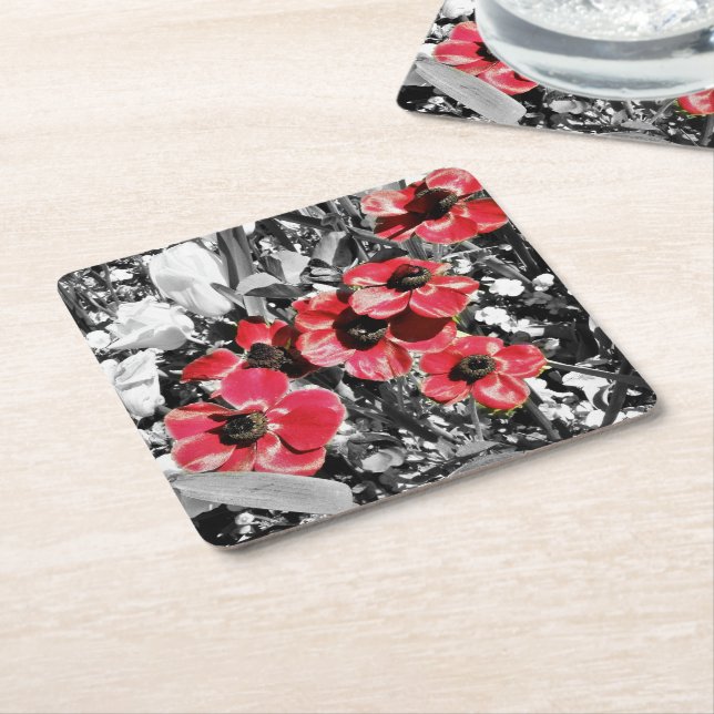 Selective Beauty - Anemone Blossoms Paper Coasters (Angled)