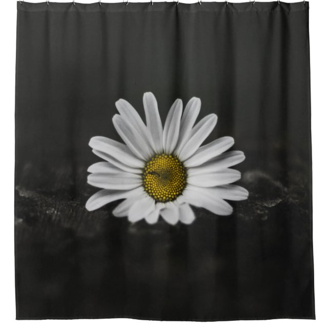 SELECTIVE COLOR PHOTO OF WHITE DAISY (Front)
