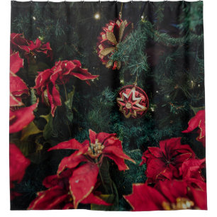 SELECTIVE FOCUS PHOTOGRAPHY OF RED POINSETTIA PLAN