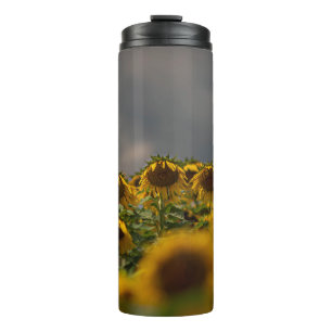 SELECTIVE FOCUS PHOTOGRAPHY OF YELLOW SUNFLOWERS D THERMAL TUMBLER