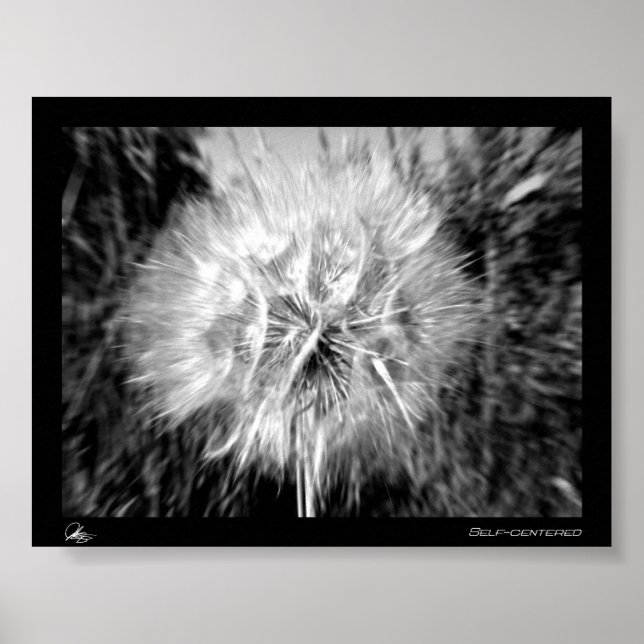 Self-Centred Poster (Front)