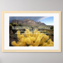 Self Forgiveness Inspirational