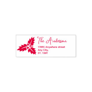 Self Inking Return Address Stamp for Christmas.