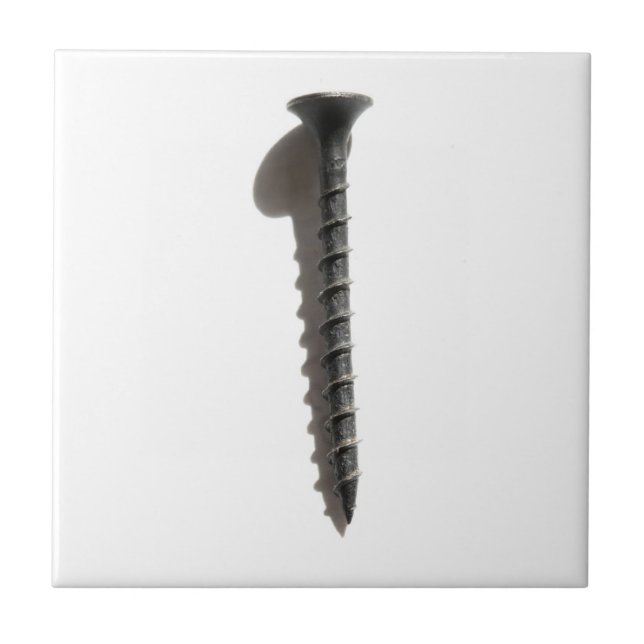 Self Tapping Black Screw Builder Construction  Tile (Front)