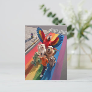 Selfie Boy Rainbow Crossing Postcard