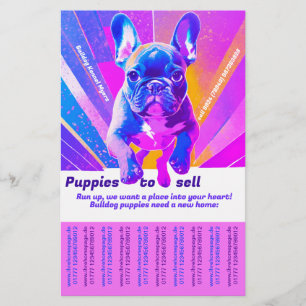 Sell Puppy French Bulldog Flyer
