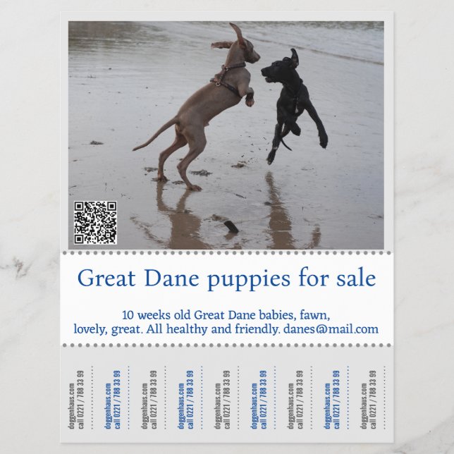 Seller Poster Flyer (Front)