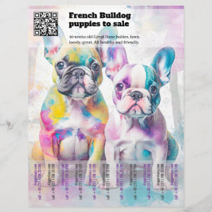 Selling Frenchie Puppies Design Flyer
