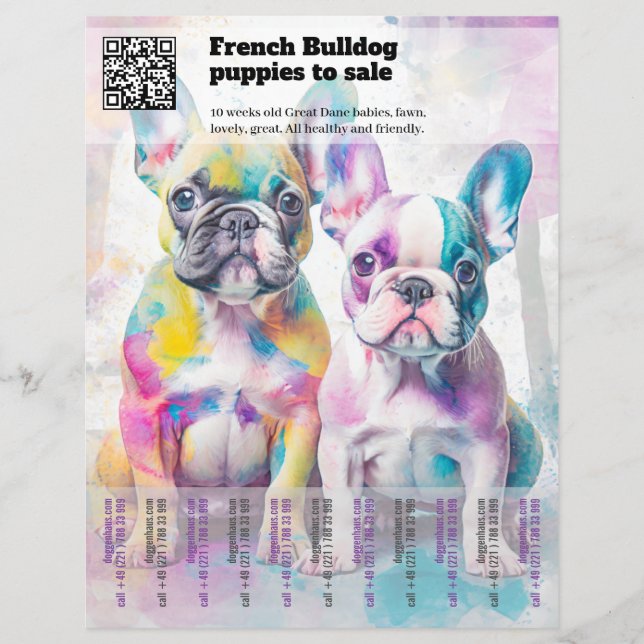 Selling Frenchie Puppies Design Flyer (Front)