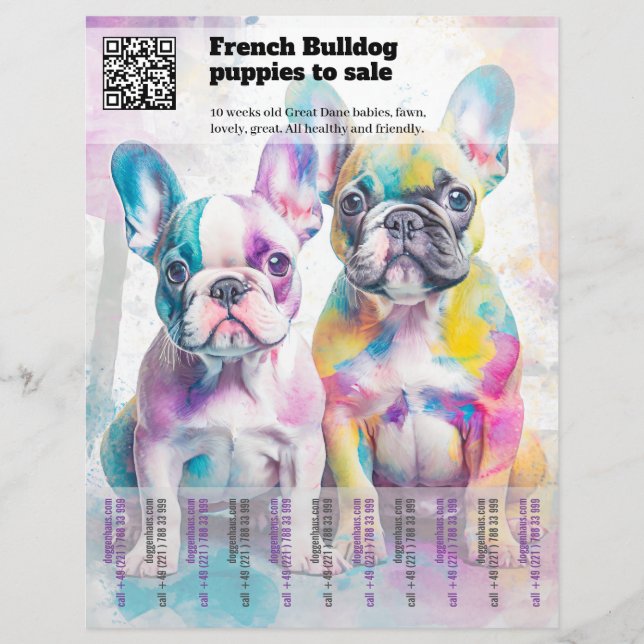 Selling Frenchie Puppies Design Flyer (Front)