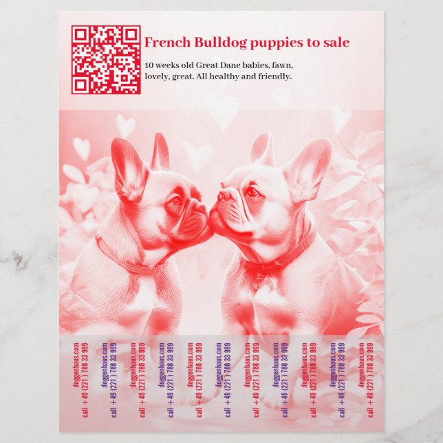Selling Frenchie Puppies Flyer (Front)