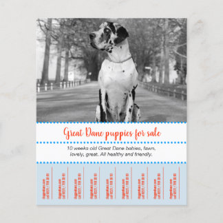 Selling Puppies Flyer