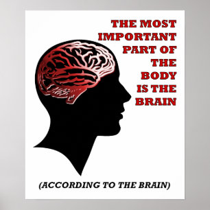 Selon le Poster Drôle du Cerveau