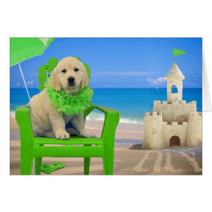 Semaine 8 - Lis de plage