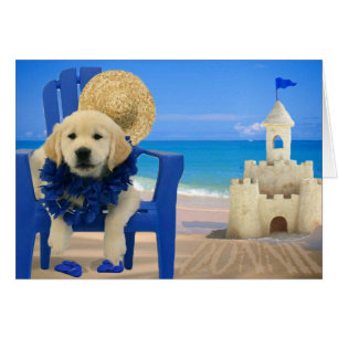 Semaine 8 - Plage Donnie