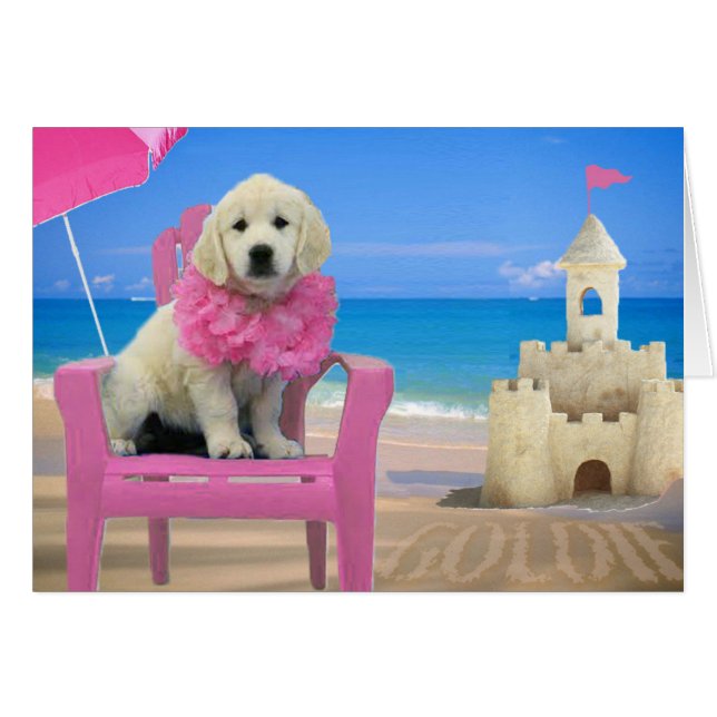 Semaine 8 - Plage Goldie (Devant horizontal)