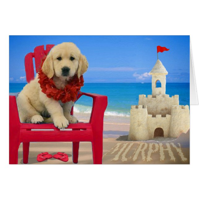 Semaine 8 - Plage Murphy (Devant horizontal)