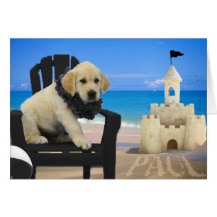 Semaine 8 - Plage Paul