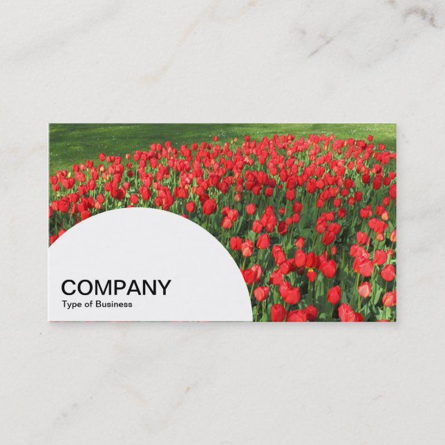Semi-circle Panel - Bed of Red Tulips 02 Business Card (Front)