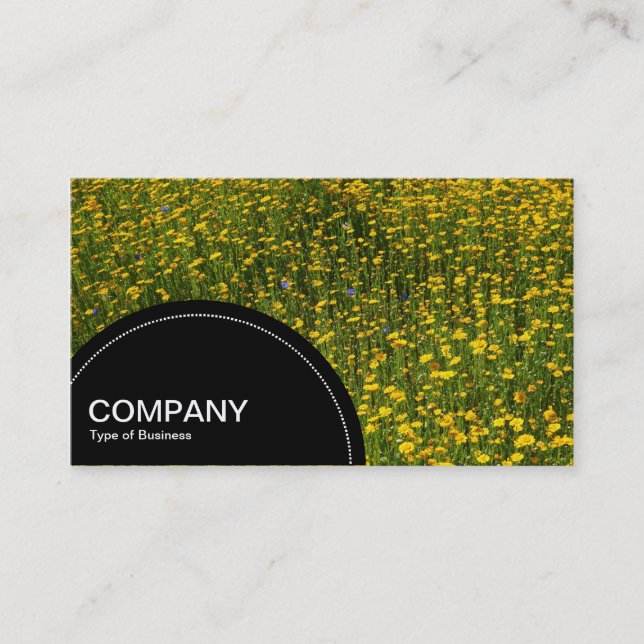 Semi-circle Panel (dots) -  Bed of Yellow Daisies Business Card (Front)